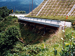 写真：表層がすべり地帯の事例(クリックで拡大)