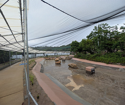 白浜アドベンチャーワールド（和歌山県白浜市）